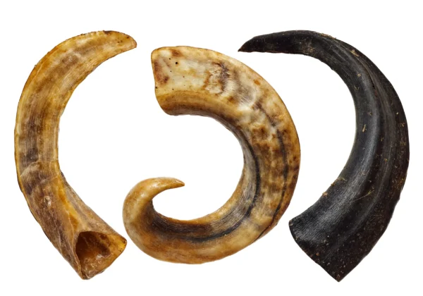 Lamba sarved 15-20 cm 250 g